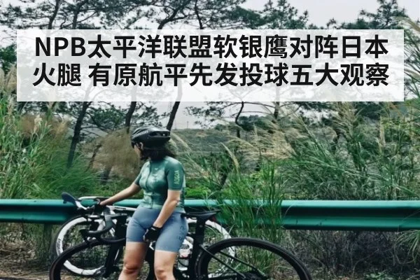 NPB太平洋联盟软银鹰对阵日本火腿 有原航平先发投球五大观察