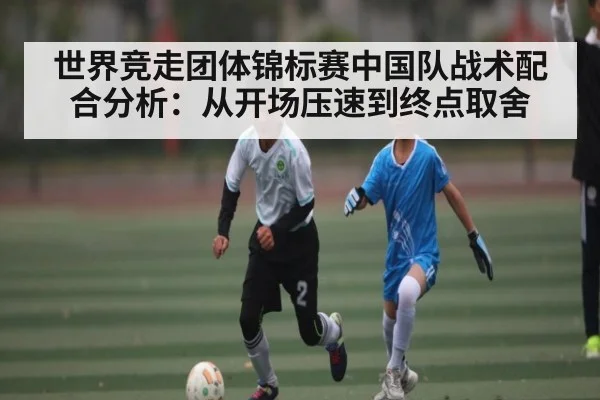 世界竞走团体锦标赛中国队战术配合分析：从开场压速到终点取舍